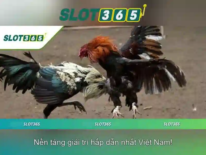 Khuyến mãi và ưu đãi\n<h2><b>Bảo mật và thanh toán</b></h2>\n<li style=