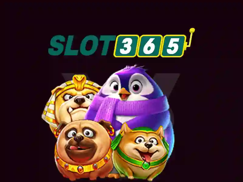 Slot365 là gì và tại sao được nhiều người yêu thích?