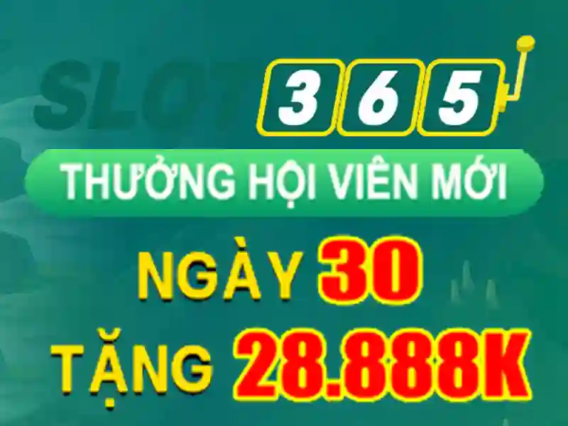 Quy trình thu thập và xử lý dữ liệu minh bạch tại Slot365