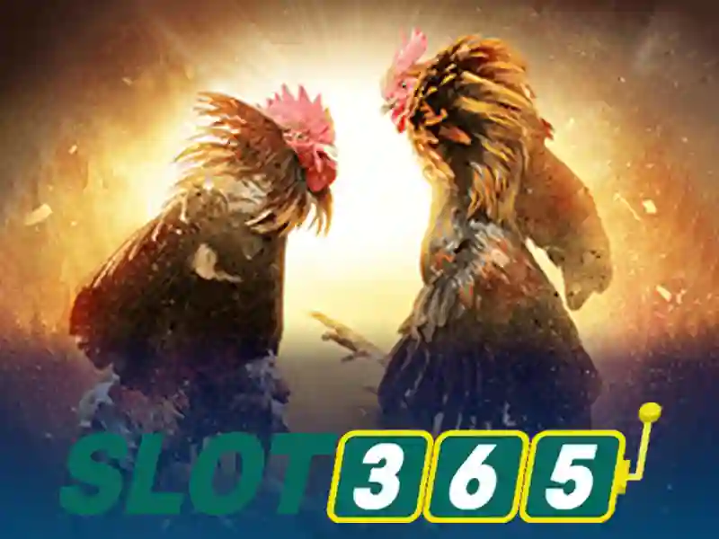 hoki slot365 – Hành trình khám phá trải nghiệm và đánh giá