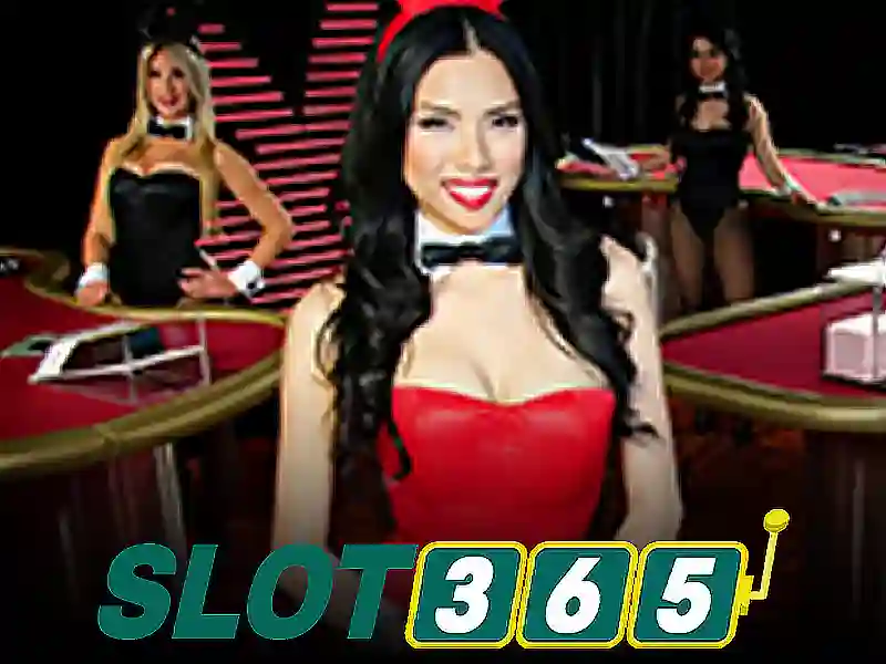 Các sản phẩm và dịch vụ cốt lõi: Ứng dụng của slot365 com1