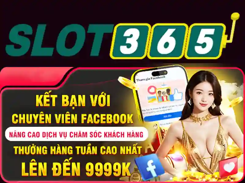 live slot365 – Nền tảng giải trí và cá cược trực tuyến
