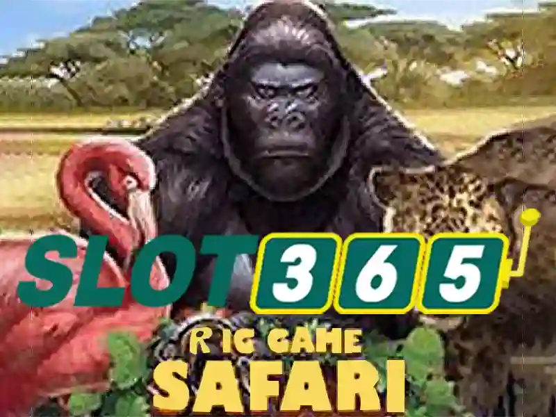Slot365: Trải nghiệm máy xèng trực tuyến hàng đầu